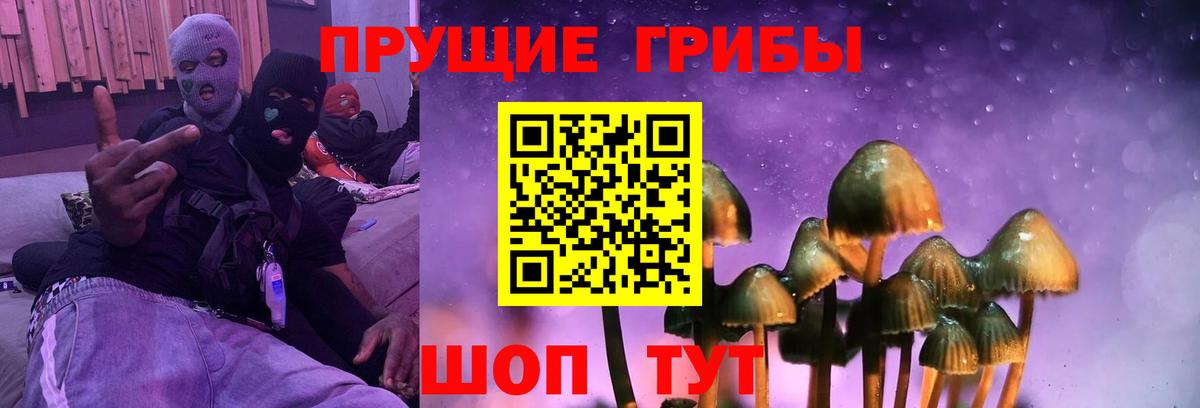 Каменск-Уральский  Галлюциногенные грибы Cubensis  как найти закладки  Вход с VPN 